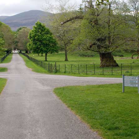 Ring of Kerry Charity Cycle